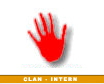 Intern
